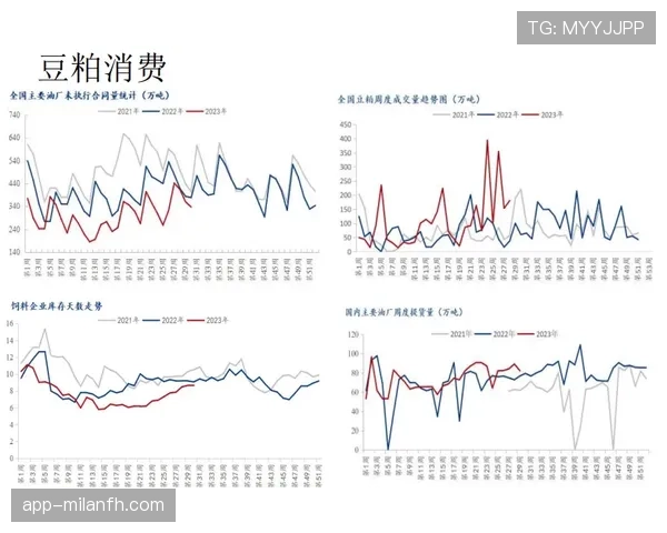 维尔茨高负荷出勤背后的伤病风险与可持续性分析